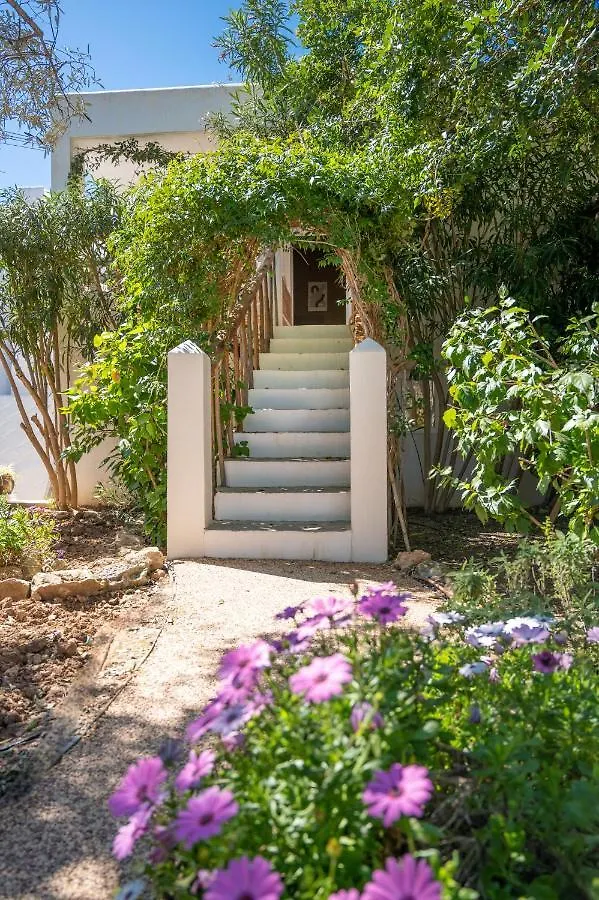 Farm stay Valley Club Ibiza - Boutique Agroturismo Sant Joan De Labritja
