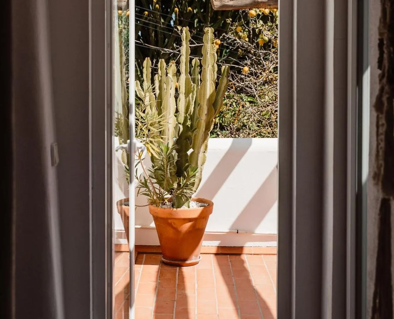 Bauernhof Valley Club Ibiza - Boutique Agroturismo Sant Joan De Labritja Spanien