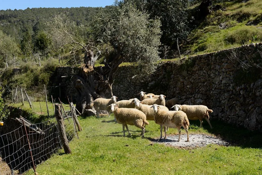 Farm stay Valley Club Ibiza - Boutique Agroturismo Sant Joan De Labritja