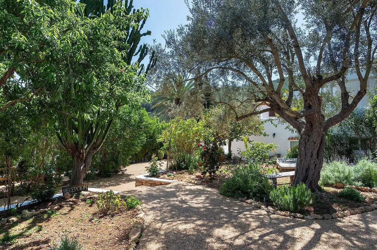 Bauernhof Valley Club Ibiza - Boutique Agroturismo Sant Joan De Labritja