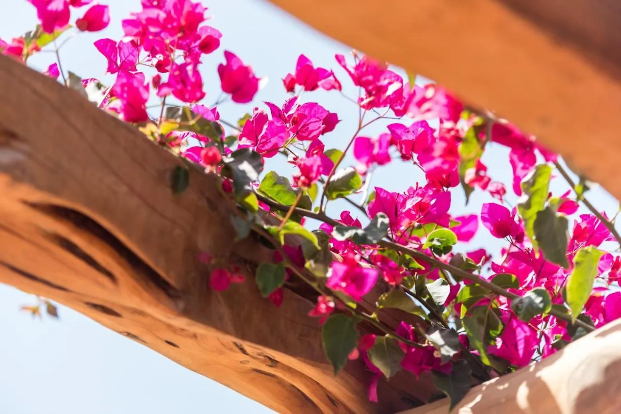 Valley Club Ibiza - Boutique Agroturismo Sant Joan De Labritja Spain
