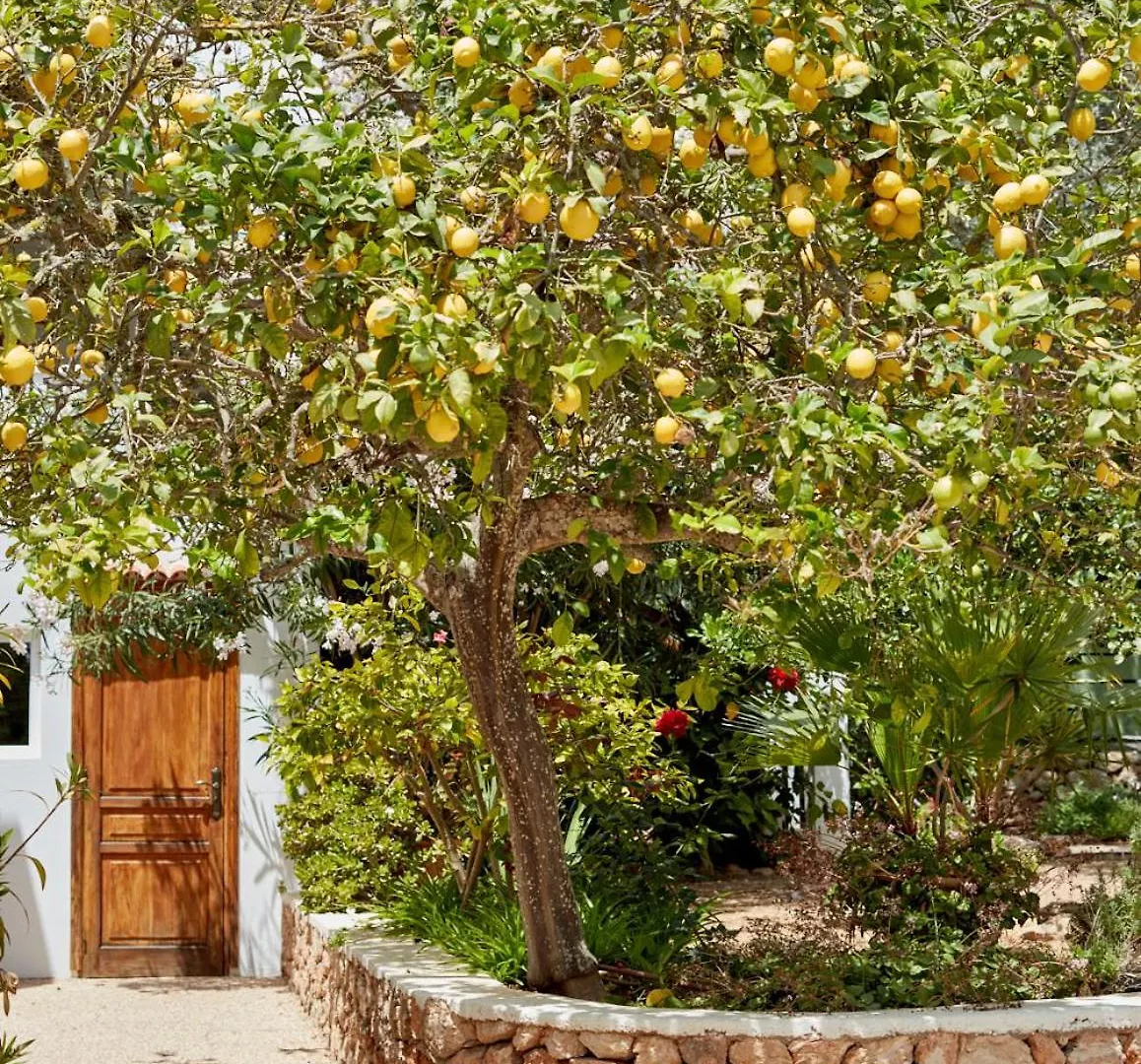 Valley Club Ibiza - Boutique Agroturismo Sant Joan De Labritja 0*,