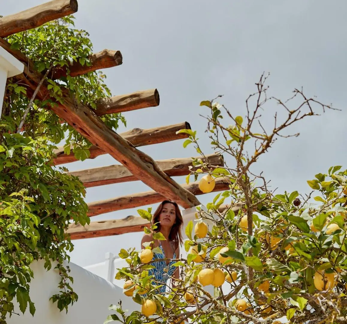 Valley Club Ibiza - Boutique Agroturismo Sant Joan De Labritja