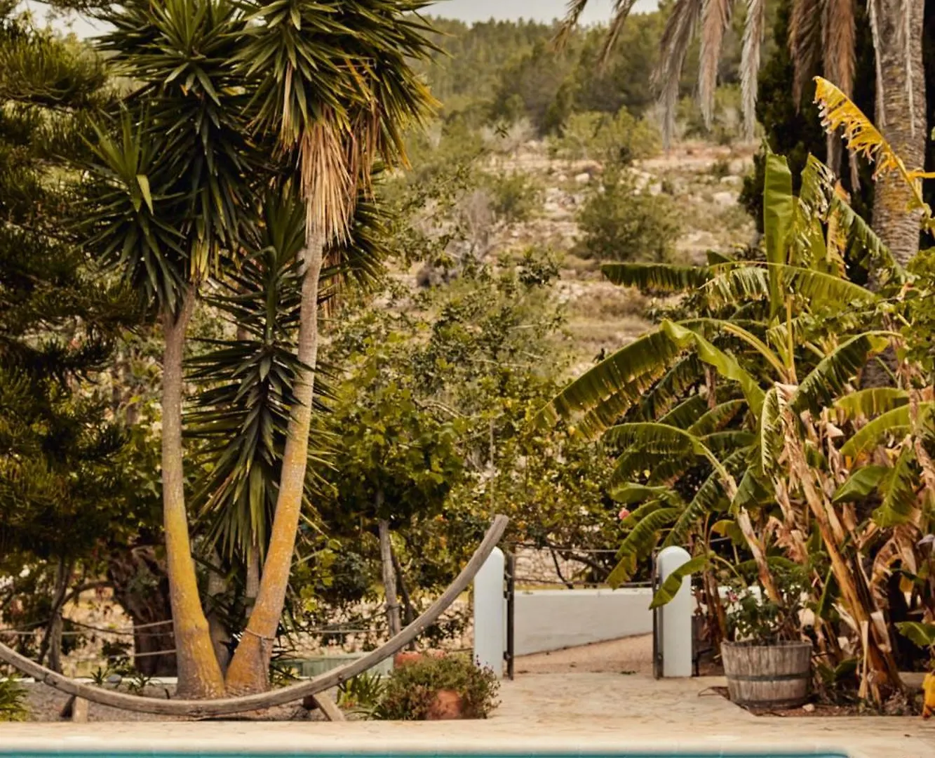 Valley Club Ibiza - Boutique Agroturismo Sant Joan De Labritja Farm stay