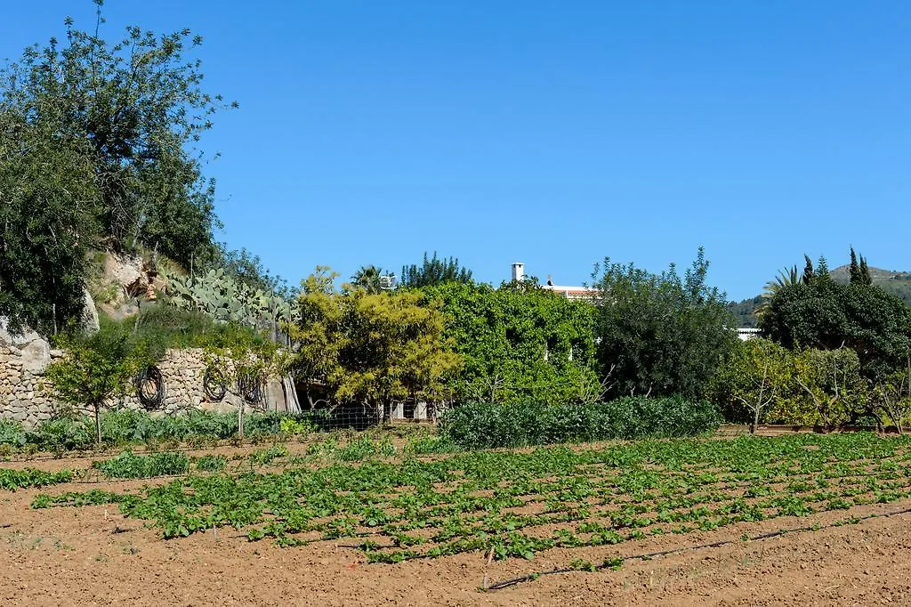 Valley Club Ibiza - Boutique Agroturismo Sant Joan De Labritja