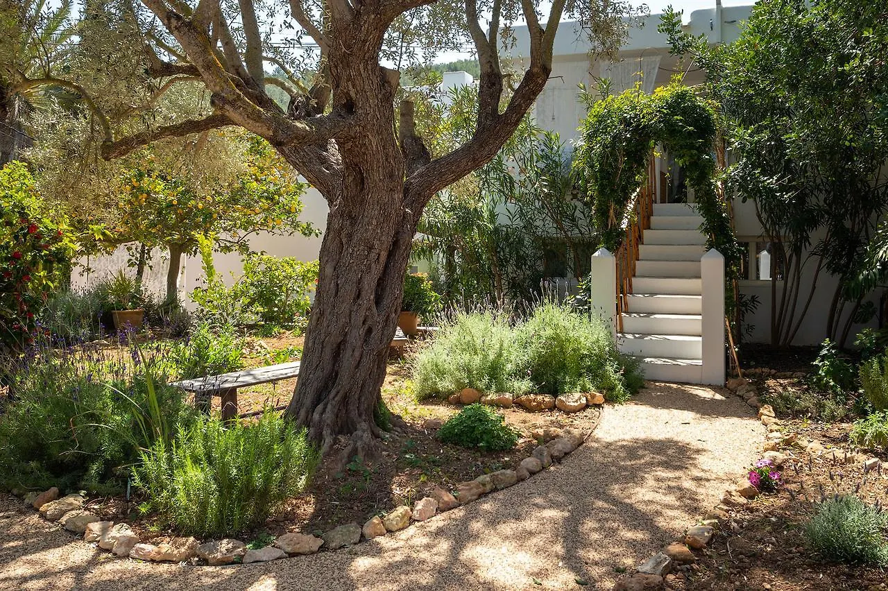 Valley Club Ibiza - Boutique Agroturismo Sant Joan De Labritja Spain
