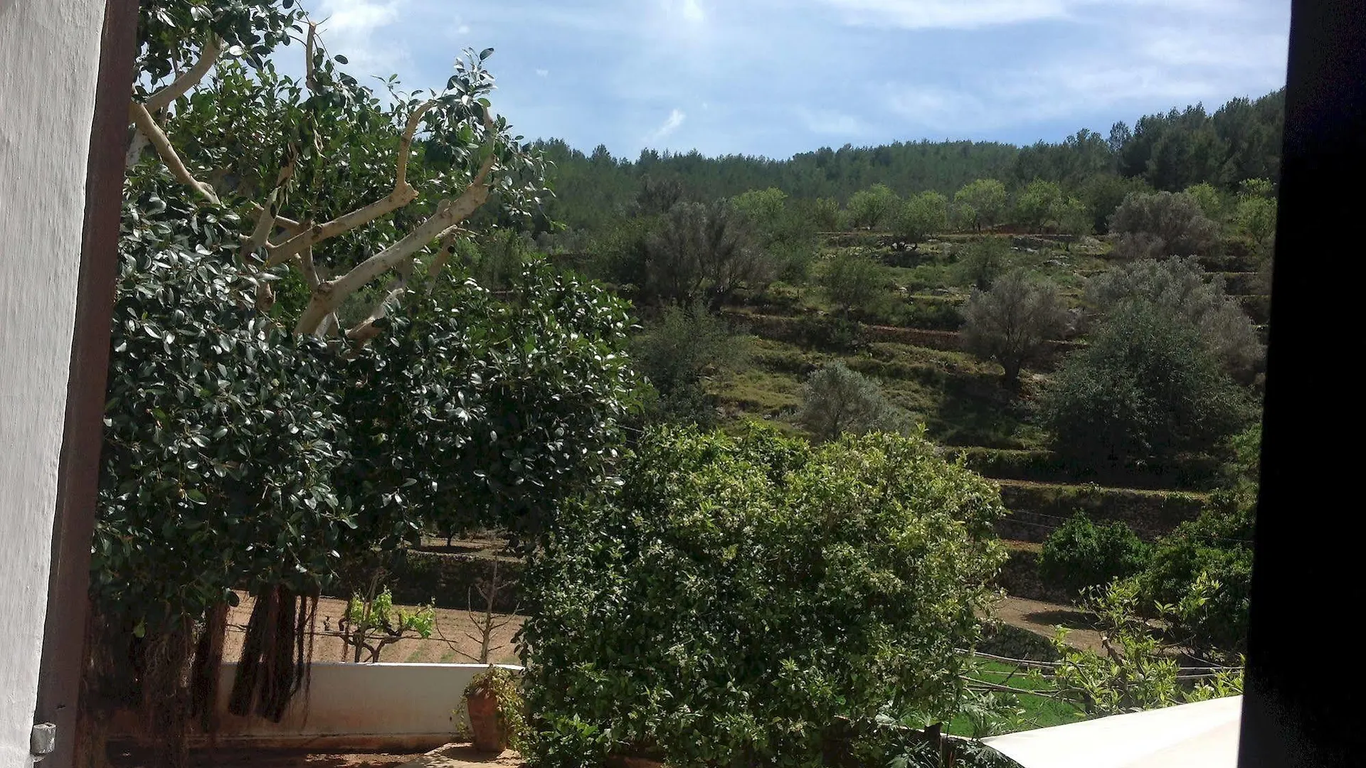 Farm stay Valley Club Ibiza - Boutique Agroturismo Sant Joan De Labritja